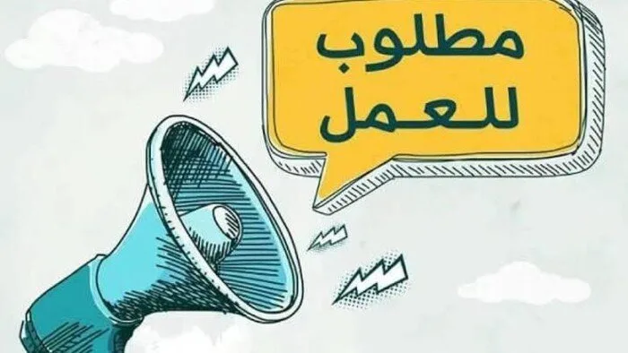 وظائف المدرسة المصرية الدولية.. شروط التقديم والتخصصات المطلوبة وظائف المدرسة المصرية الدولية.. شروط التقديم والتخصصات المطلوبة