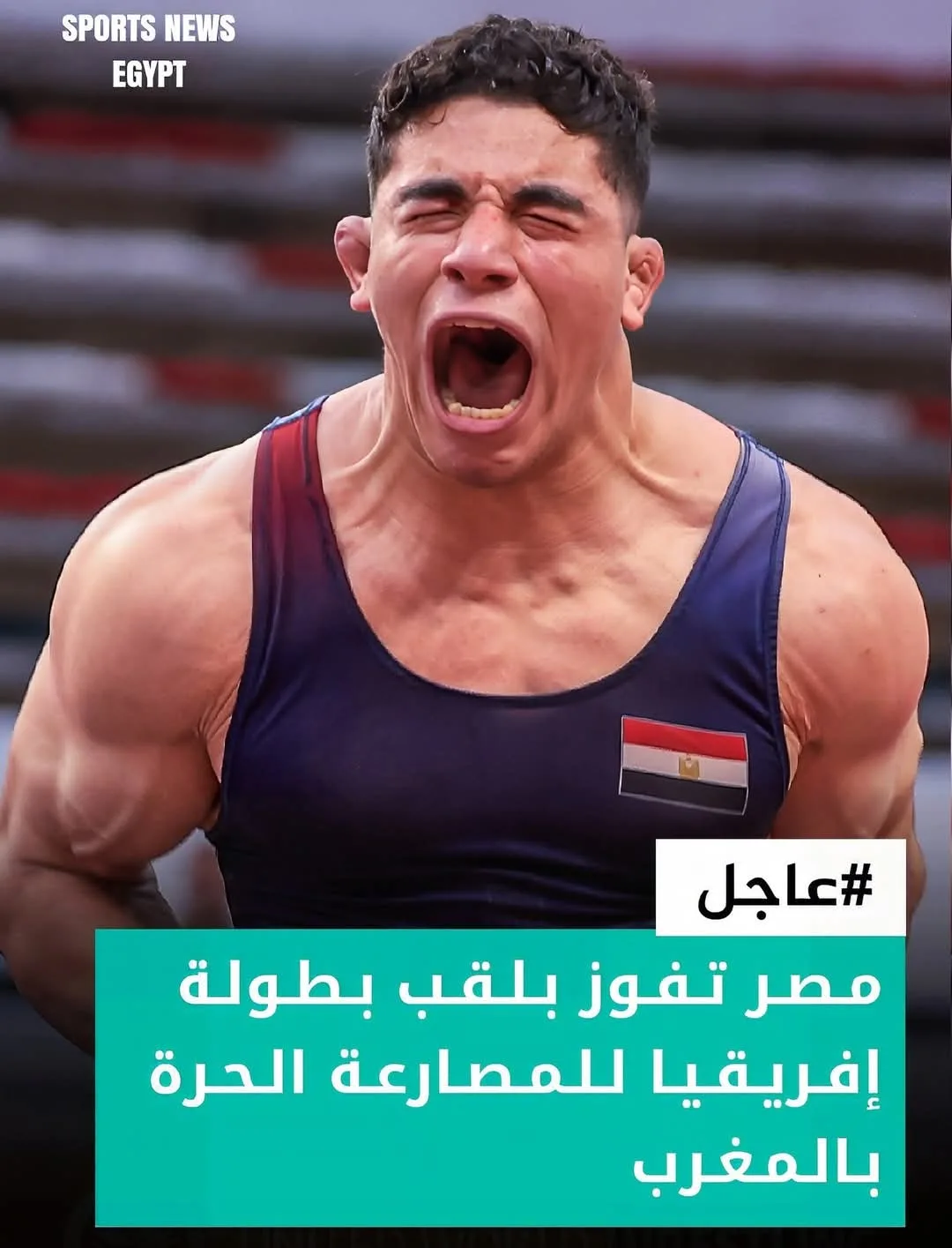 جامعة حلوان تواصل التفوق الأكاديمي والرياضي بذهبية عبدالرحمن هيثم في المصارعة جامعة حلوان تواصل التفوق الأكاديمي والرياضي بذهبية عبدالرحمن هيثم في المصارعة