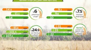 جهود الدولة لتعزيز الإنتاج المحلي من القمح وتأمين مخزونه.. إنفوجراف