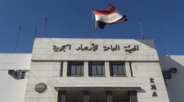 حالة الطقس غدًا: حرارة نهارية مع ليالٍ معتدلة في معظم المناطق، والعظمى في القاهرة 33 درجة.