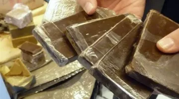 حبس 3 سنوات لسائق وشقيقه بتهمة تهريب المخدرات إلى رواد المقاهي في رأس سدر.