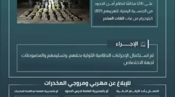 حرس الحدود في جازان يعتقل 24 شخصًا لانتهاك نظام أمن الحدود أثناء محاولتهم تهريب 801 كيلوغرام من نبات القات المخدر.