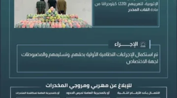 حرس الحدود في عسير يعتقل ثلاثة أشخاص مخالفين لقوانين أمن الحدود بتهمة تهريب 220 كيلوغرامًا من نبات القات المخدر.