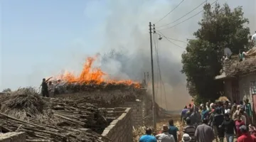 حريق مزرعة مواشي بسمنود في الغربية.. والحماية المدنية تحاول السيطرة
