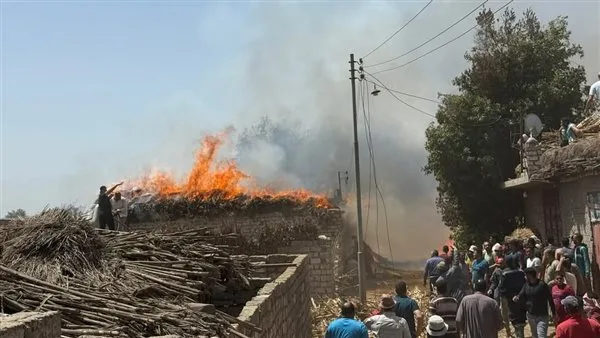 حريق مزرعة مواشي بسمنود في الغربية.. والحماية المدنية تحاول السيطرة حريق مزرعة مواشي بسمنود في الغربية.. والحماية المدنية تحاول السيطرة