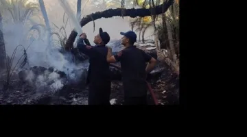 حريق يلتهم 3 عشش وثلاث دراجات نارية في المنوفية