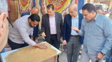 حصاد 2025.. توريد 103 ألف طن قمح بشون وصوامع بني سويف
