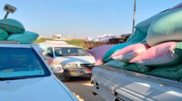 حصاد الخير.. توريد 46ألف طن قمح لشون وصوامع البحيرة