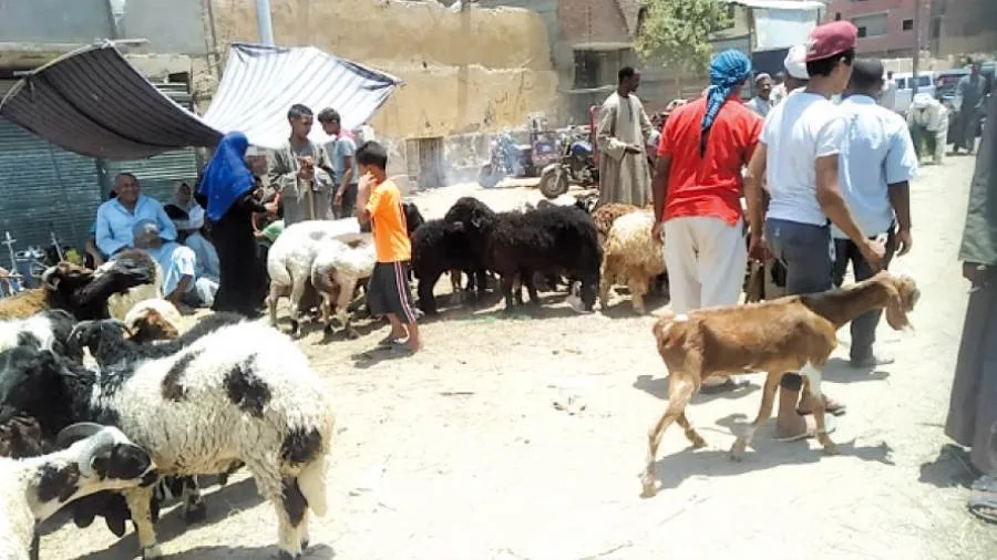 حظر منصات البيع في المدن حظر منصات البيع في المدن
