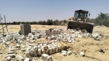 حفاظا على الرقعة الزراعية وأراضي الدولة..إزالة 27 حالة تعد بمساحة 2822 مترا بالبحيرة