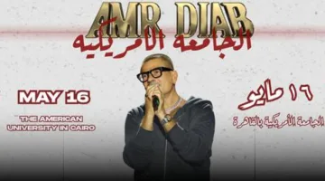 حفل عمرو دياب: فئة الـ Regular "كامل العدد"