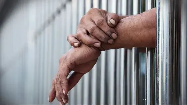 حكم بالحبس بتهمة التزوير.. رئيس مدينة يستعد لتنفيذ قرار استبعاده بالمنوفية حكم بالحبس بتهمة التزوير.. رئيس مدينة يستعد لتنفيذ قرار استبعاده بالمنوفية