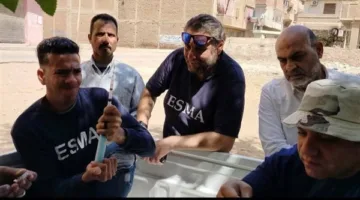 حملات موسعة لتطعيم كلاب الشوارع ضد السعار بالمنوفية