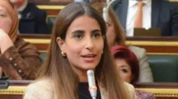 خارجية النواب:حملة تشويه التحركات «المصرية والقطرية» لن تنجح في النيل من الدعم المشترك لغزة