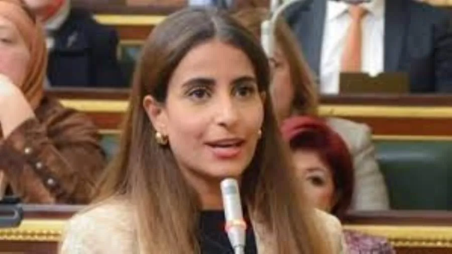 خارجية النواب:حملة تشويه التحركات «المصرية والقطرية» لن تنجح في النيل من الدعم المشترك لغزة خارجية النواب:حملة تشويه التحركات «المصرية والقطرية» لن تنجح في النيل من الدعم المشترك لغزة