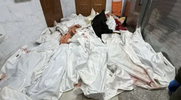 خبراء في الأمم المتحدة يدعون لتحرك دولي لوضع حد للإبادة الجماعية في غزة