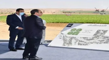 خبراء: مشروع “مستقبل مصر” يعزز الأمن الغذائي