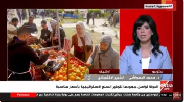 خبير اقتصادي: تجربة الأسواق ذات اليوم الواحد تعد وسيلة فعالة لتعزيز عرض السلع في الأسواق