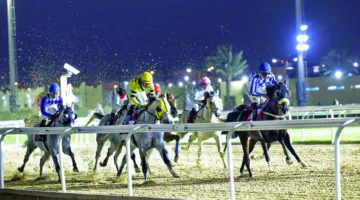 ختام موسم سباقات الخيل بنادي قطر للسباق والفروسية