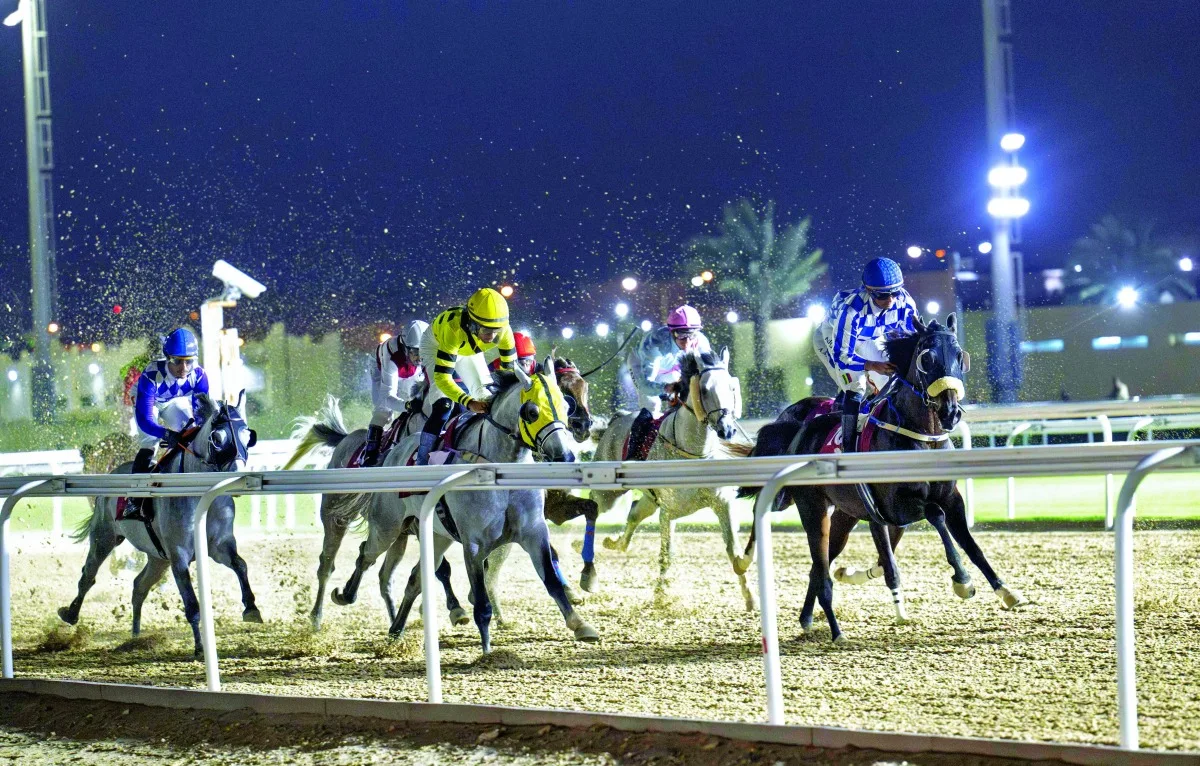 ختام موسم سباقات الخيل بنادي قطر للسباق والفروسية ختام موسم سباقات الخيل بنادي قطر للسباق والفروسية