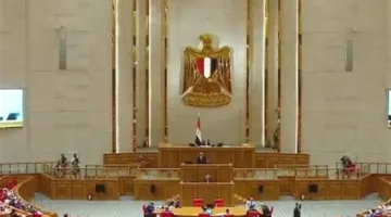 خلفا لـ رقية الهلالي.. ميرفت عبد النعيم تؤدي اليمين الدستورية عضوا بمجلس النواب