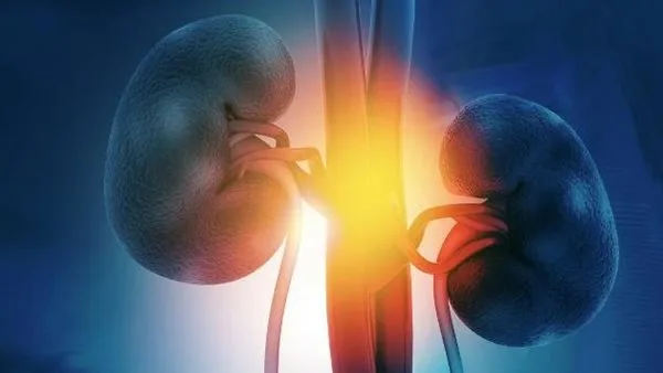 دراسة: ابتكار قناع ذكي يكشف أمراض الكلى عبر التنفس بنسبة دقة عالية دراسة: ابتكار قناع ذكي يكشف أمراض الكلى عبر التنفس بنسبة دقة عالية