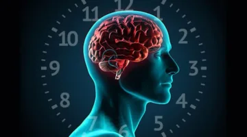 دراسة تبرز تأثير تغير الفصول على الساعة الداخلية للجسم