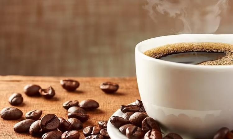 دراسة تكشف عن الفوائد الصحية لتناول المسنين لـ "القهوة" دراسة تكشف عن الفوائد الصحية لتناول المسنين لـ "القهوة"