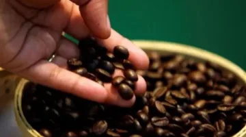 دراسة حديثة: القهوة السوداء تُحسّن مقاومة الإنسولين