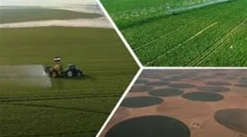 دور الزراعة في تحقيق الأمن الغذائي