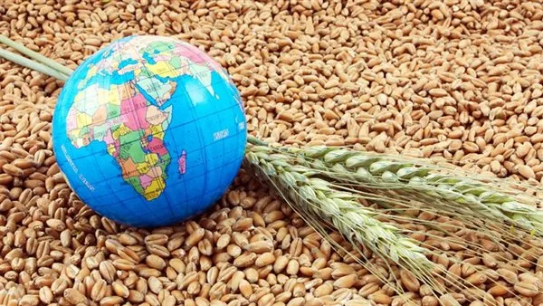 دور الزراعة في توفير السلع بأسعار مخفضة.. استراتيجية لتحقيق الأمن الغذائي دور الزراعة في توفير السلع بأسعار مخفضة.. استراتيجية لتحقيق الأمن الغذائي