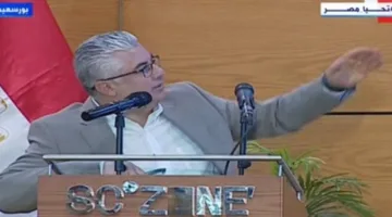 رئيس اقتصادية قناة السويس: مصنع «نيرك» بداية التحول الصناعي الكبير بالمنطقة