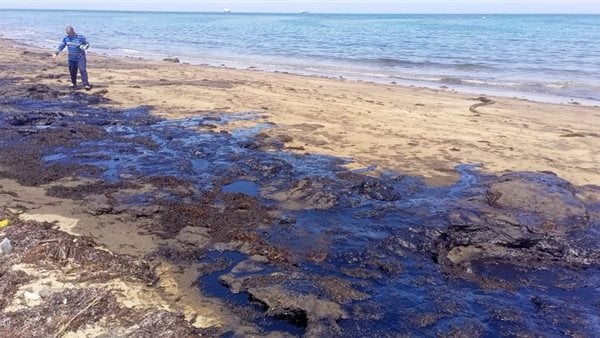 رئيس الفرع الإقليمي لشؤون البيئة يوجه بتكثيف الرقابة على الأنشطة النفطية البحرية في جنوب سيناء رئيس الفرع الإقليمي لشؤون البيئة يوجه بتكثيف الرقابة على الأنشطة النفطية البحرية في جنوب سيناء