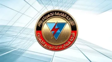 رئيس كهرباء شمال الدلتا في جولة مفاجئة بسيدي سالم: مراجعة ملفات الفقد والتحصيل