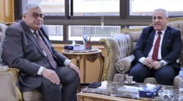 رئيس مجلس الدولة يستقبل «الشوربجي» ويبحثان تعزيز التعاون المشترك