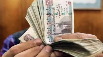 رابط وخطوات الاستعلام عن منحة العمالة غير المنتظمة 2025