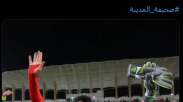 رسميًا.. “التحكيم الرياضي” يمنح نادي النصر نقاط مباراة العروبة
