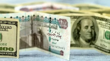 رسميًا.. تراجع جديد في سعر الدولار مقابل الجنيه اليوم بالبنوك