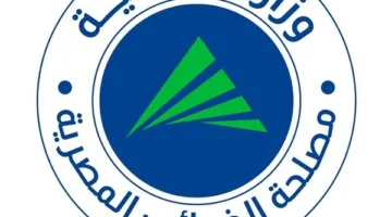 رشا عبد العال: حوالي 1.5 مليار وثيقة إلكترونية رُفعت على منظومة الفاتورة الإلكترونية حتى الآن
