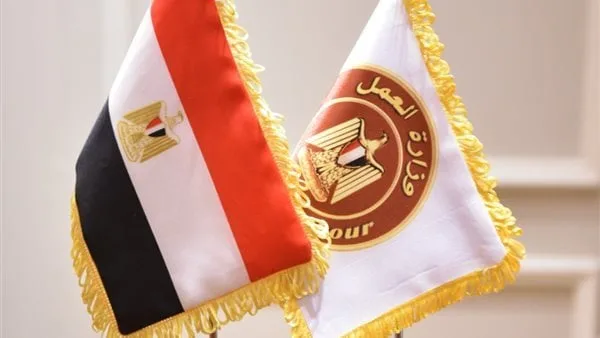 رواتب تصل إلى 6500 ريال شهرياً.. وزارة العمل تُعلن عن فرص عمل في شركة مقاولات بالسعودية رواتب تصل إلى 6500 ريال شهرياً.. وزارة العمل تُعلن عن فرص عمل في شركة مقاولات بالسعودية