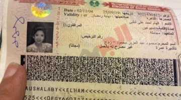 “زوجي العزيز”.. فيديو نادر قبل 19 عاما يؤكد زواج بوسي شلبي ومحمود عبد العزيز