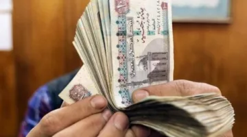 زيادة مرتبات المعلمين في مايو 2025: كل المعلومات حول الزيادة الجديدة في الرواتب.