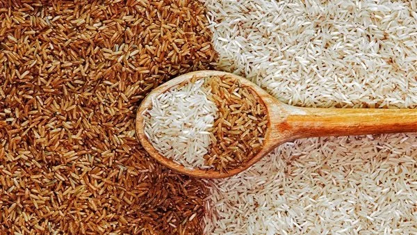سعر الأرز الشعير في السوق اليوم الأربعاء 2025 سعر الأرز الشعير في السوق اليوم الأربعاء 2025