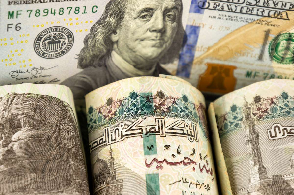 «البنك المركزي»: زيادة بنسبة 77.3% في تحويلات المصريين المغتربين خلال الربع الأخير من 2024 «البنك المركزي»: زيادة بنسبة 77.3% في تحويلات المصريين المغتربين خلال الربع الأخير من 2024