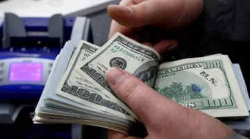 كيف يمكنك تحويل أموالك بالدولار إلى مصر بأسلوب سهل وآمن؟