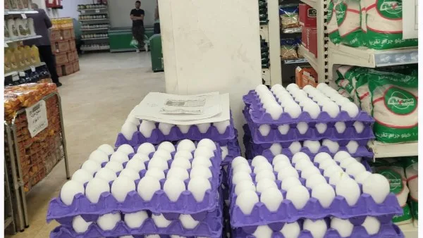 سعر طبق البيض 120 جنيها.. التموين تواصل توفير السلع بأسعار مخفضة سعر طبق البيض 120 جنيها.. التموين تواصل توفير السلع بأسعار مخفضة