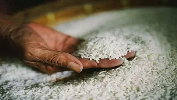 سعر طن الأرز البني في السوق اليوم، الإثنين 12 مايو 2025 سعر طن الأرز البني في السوق اليوم، الإثنين 12 مايو 2025