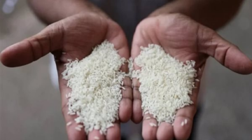 سعر طن الأرز الشعير اليوم الإثنين 5 مايو 2025 في السوق المصري