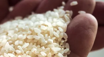 سعر طن الأرز الشعير اليوم الخميس 8 مايو 2025 بالأسواق