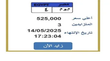 سعرها بلغ 525 ألف جنيه.. معركة حامية على لوحة سيارة فريدة